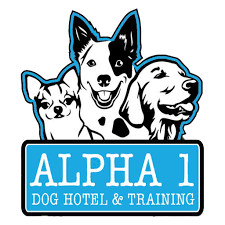 Alpha 1 Dog Hotel & Dog Training