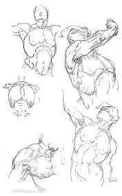 Anatomy Of The Trunk George Bridgman Free Art Book Human Anatomy Drawing Anatomy Drawing Anatomy Art