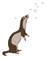 Animal Animation Tutorials In Flash Animal Art Rock Painting Designs Animal Drawings