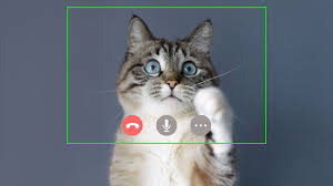 394th district court of texas via storyful. A Lawyer Who Appeared As A Kitten On Zoom Provides A Lesson In How To Handle Embarrassment Inc Com