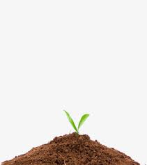 The tree has an equally growing shadow which places. Seed Growing Animation Page 1 Line 17qq Com