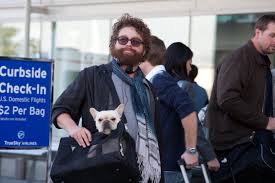 Parto col folle (due date). Parto Col Folle Warner Bros Entertainment Italia