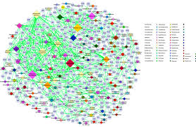 Image result for Vernonia kirungae