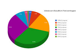 chile ethnicity percentage home decor interior design and