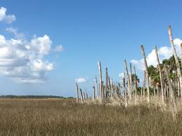 Vincent island is the westernmost of 4 barrier islands in the northwestern florida gulf coast which include cape st. Island In The Storm A Letter From St Vincent National Wildlife Refuge On The Eve Of Hurricane Michael Florida Phoenix