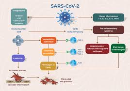 Image result for Hypercoagulable