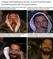 Doing This Is On My Bucket List For This Reincarnation What What That S What Funny Joke Quote Funny Spiritual Memes Funny P