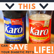 If your cat has gotten into a few kernels of corn, no need to worry. Do You Have A Diabetic Cat Or Dog Make Allegheny North Veterinary Hospital Facebook