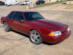 Image result for Wild Strawberry 1991 Tracer