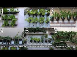 Maybe you would like to learn more about one of these? How To Recycle Plastic Bottles For Gardening Architecture Home Decor