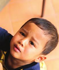 Trends in State Courts