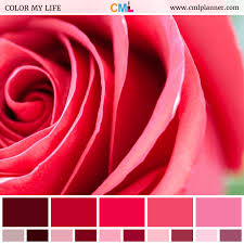 Rosy Blush Color My Life Color Palette Pink Color Rose