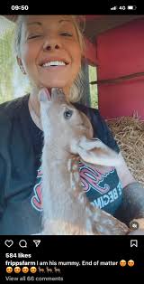 I am watching you my dear!' Deer Safari, Holkham Park