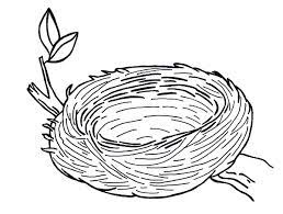 Free printable coloring pages for kids. Printable Bird Nest Coloring Page Novocom Top