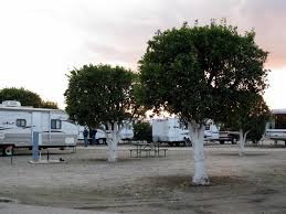 The orange grove rv park bakersfield ca. Pin On Lovin Rv Life