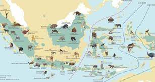 Persebaran Flora Dan Fauna Di Indonesia Beserta Gambarnya Teks Co Id