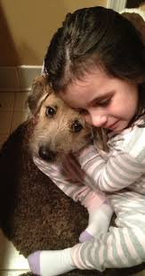 Avery Lippe's fundraiser