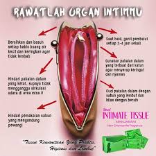 Setelah selesai, diamkan hasil ramuan tadi agar bahannya mengendap dan airnya menjadi lebih hangat atau dingin. Jual Intimate Tissue Double Majakani Miss V Harum Kesat Rapat Promo Jakarta Barat Seight Ris Tokopedia