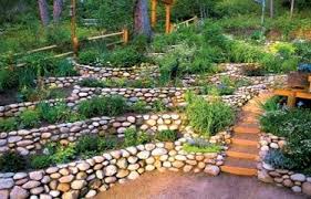 Terraced Rock Garden Would Be So Pretty On Our Front Slope And Full Of Flowers Landscaping With Rocks Terrace Garden Rock Garden