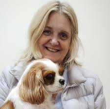 Acupuncture, Physiotherapy & Herbal Medicine Veterinary Practice in  Northampton