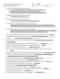 Anatomy And Physiology Unit 9 Review Key Chapter 13 Respiratory System