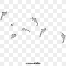 Find & download the most popular fish vectors on freepik free for commercial use high quality images made for creative projects. A Group Of Fish Png Images Vector And Psd Files Free Download On Pngtree