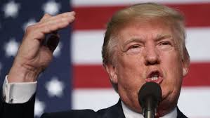 Dragana Kosjer (@draganakosjer)