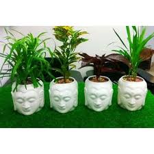 Create an indoor garden oasis with our range of plant pots & stands. Lord Buddha Ceramic Planter Interior Decor Ceramic Flower Pots Manufacturer From Khurja