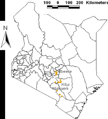 Image result for Alectra vogelii