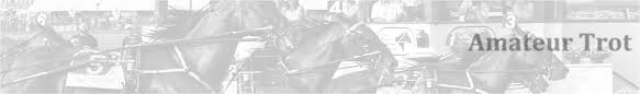 Amateur Trot