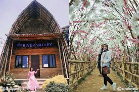 Popularitas terbaru harga rendah ke tinggi harga tinggi ke rendah. 8 Gambar Sunflower Garden Medan Spot Wisata Ciamik Di River Valley Pariwisata Sumut