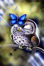 5d Diamond Painting Full Drill Owls And Butterflies Cross Etsy In 2021 Diamond Painting 5d Diamond Painting Butterfly Cross Stitch