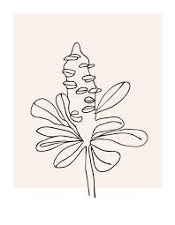 Blushing Banksia Framed Canvas Botanical Art Drawing Australian Native Flowers Flower Drawing