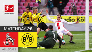 Fc köln & bvb 09 (@fckoeln_bvb09). Ksndkccjovo2im