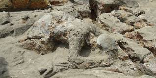 Cerita malin kundang dalam bahasa inggris. Di Tangan Mereka Malin Kundang Bukan Anak Yang Durhaka Merdeka Com