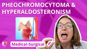 Image result for Hyperaldosteronism