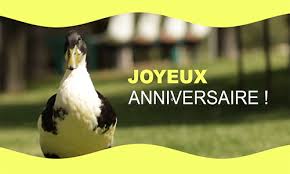 Avec internet tout devient plus facile, vous pouvez souhaiter un anniversaire. Carte Tu Es Ne Pile Le Jour De Ton Anniversaire Cybercartes Com