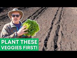 Biodiversity Conference 2012: Peter Haggard