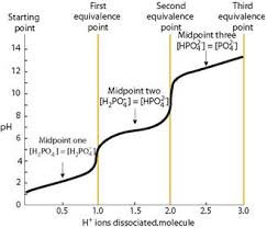 What is the meaning of the equivalence point? Background