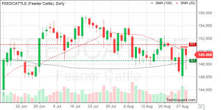 Techniquant Feeder Cattle Feedcattle Technical Analysis