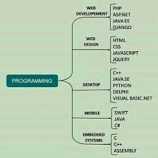 What are the career paths for different programming languages?