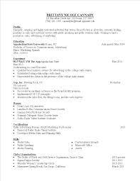 Successfully cooperated with sales and marketing teams on new business strategies which helped increase apple. Sales Executive Resume Template Templates At Allbusinesstemplates Com