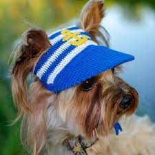 Dog S Cap With Text Baseball Cap For Dog Visor Cap For Etsy Dog Hat Crochet Dog Hat Crochet Dog