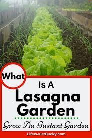 Start An Instant Garden Build And Plant The Same Day Life Is Just Ducky In 2020 Lasagna Gardening Raised Garden Soil Quick Garden