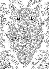 Edward scissorhands adult coloring book page. Owl Coloring Pages For Adults Free Detailed Owl Coloring Pages