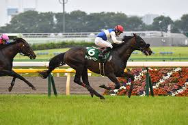 エプソムカップは、日本中央競馬会 (jra) が東京競馬場で施行する中央競馬の重賞競走（giii）である。 寄贈賞を提供するエプソム競馬場（epsom race course）はロンドンから南に約27kmのサリー州エ. 2020å¹´ ã‚¨ãƒ—ã‚½ãƒ ã‚«ãƒƒãƒ— Jra