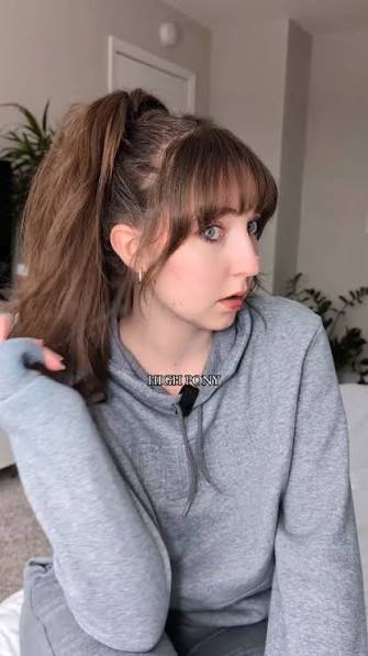can you do a high ponytail? my fav hairstyle for hoodie season 💕, #highponytail #ponytail #hair #hairtutorial #hairstyle #hairhack