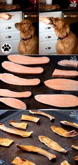 Homemade Sweet Potato Dog Treats Sweet Potato Dog Treats Sweet Potatoes For Dogs Dog Treats