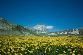 Solo una seggiovia è funzionante, poi bisogna ho soggiornato a campo felice in estate e dormito in tenda per un trekking sulle montagne intorno a. Campo Imperatore Wikipedia