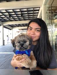 The pet move itself can be very expensive as well if you are importing an. Laguna And Cavite Dasmarinas Bailey S Taxi Petbacker Calabarzon
